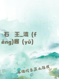 賭石鑒寶王
