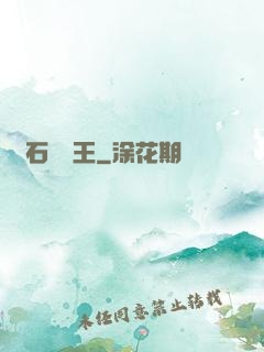 賭石鑒寶王
