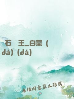 賭石鑒寶王