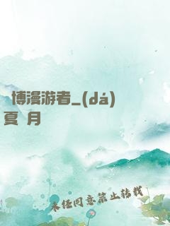賽博漫游者