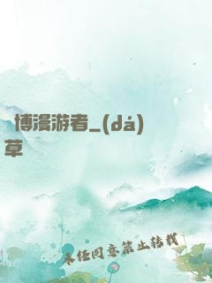 賽博漫游者