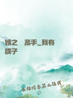 贅婿之無敵高手