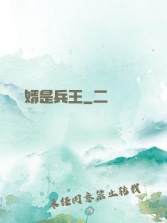 贅婿是兵王
