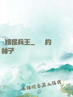 贅婿是兵王