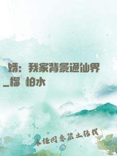 贅婿：我家背景通仙界