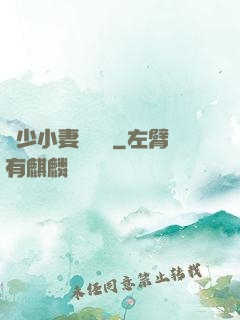 贏少小妻兇兇噠