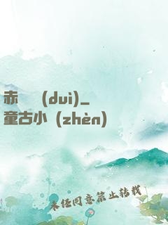 赤鳶艦隊(duì)
