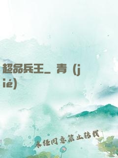 超品兵王