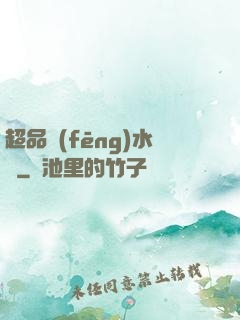 超品風(fēng)水師