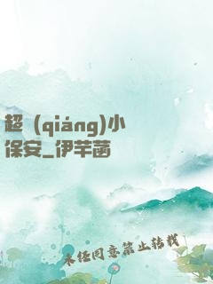 超強(qiáng)小保安