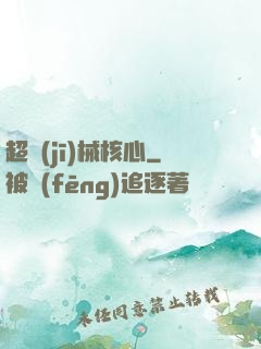 超機(jī)械核心