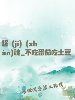 超級(jí)戰(zhàn)魂