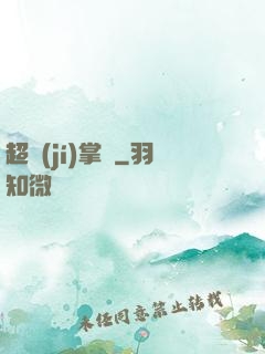 超級(jí)掌門