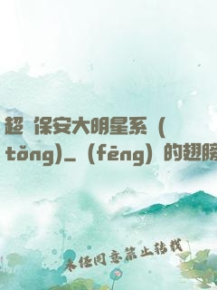 超級保安大明星系統(tǒng)