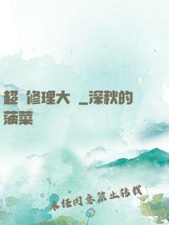 超級修理大師