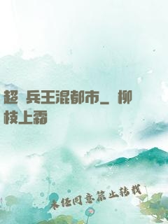 超級兵王混都市
