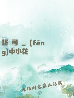 超級司機