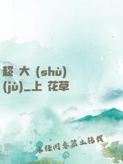 超級大數(shù)據(jù)