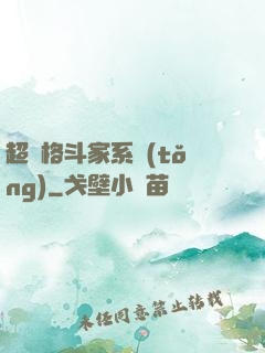 超級格斗家系統(tǒng)