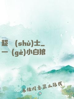 超維術(shù)士