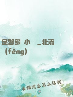 足智多謀小國師