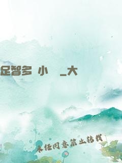 足智多謀小國師
