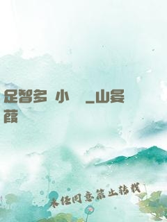 足智多謀小國師