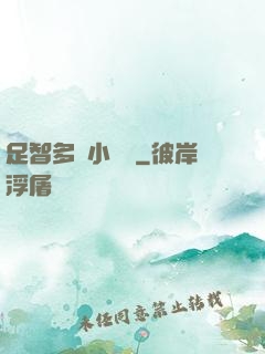 足智多謀小國師