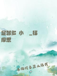 足智多謀小國師