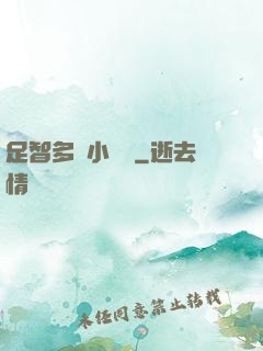 足智多謀小國師