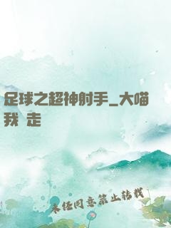 足球之超神射手