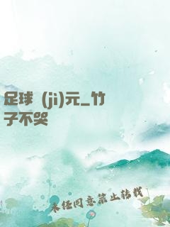 足球紀(jì)元