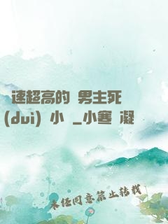 車速超高的雙男主死對(duì)頭小說