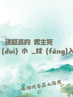 車速超高的雙男主死對(duì)頭小說