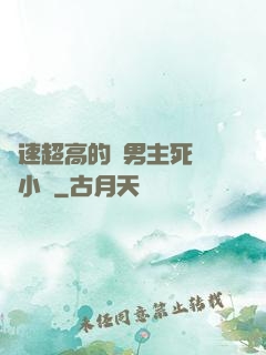 車速超高的雙男主死對頭小說