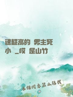 車速超高的雙男主死對頭小說