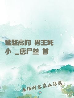 車速超高的雙男主死對頭小說
