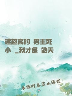 車速超高的雙男主死對頭小說