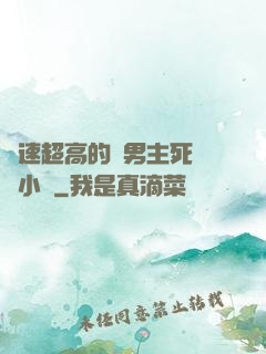 車速超高的雙男主死對頭小說