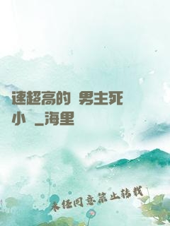 車速超高的雙男主死對頭小說