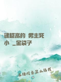 車速超高的雙男主死對頭小說
