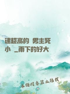 車速超高的雙男主死對頭小說