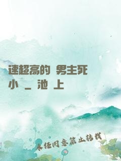 車速超高的雙男主死對頭小說