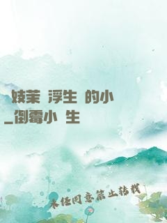 軍妓茉兒浮生夢的小說
