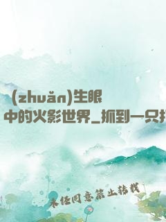 轉(zhuǎn)生眼中的火影世界
