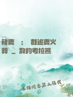 辣妻來襲：總裁追妻火葬場