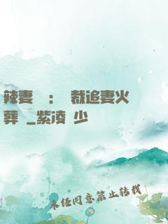 辣妻來襲：總裁追妻火葬場