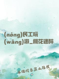 農(nóng)民工玩網(wǎng)游