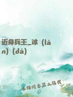 近身兵王