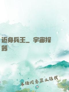 近身兵王